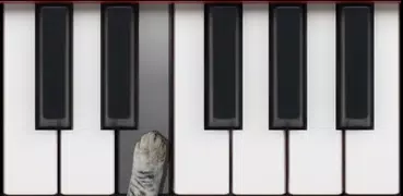 Cat Piano Memory Game