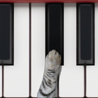 猫ピアノ biểu tượng