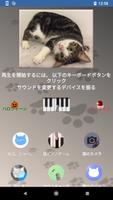 猫ピアノ bài đăng