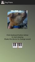 Dog Piano Affiche