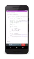 100+ Java Programs with Output imagem de tela 1