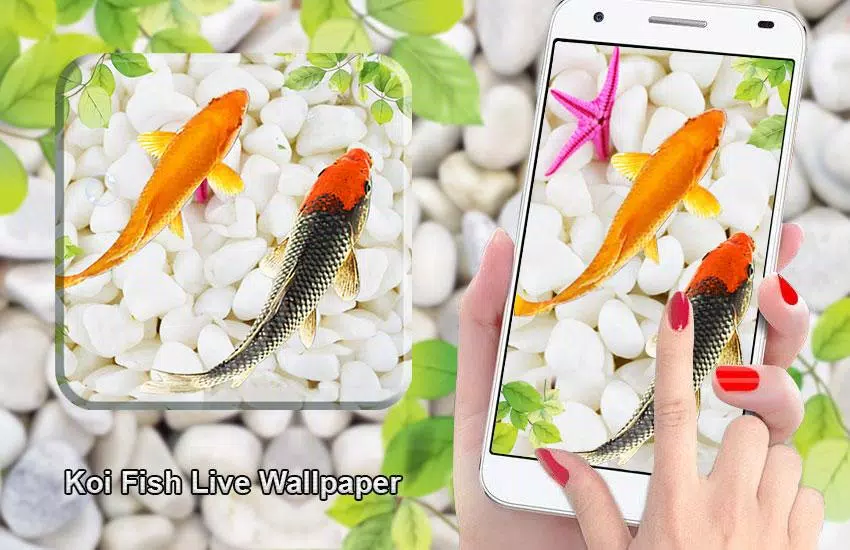 Fish Live Wallpaper APK for Android Download
