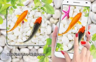 Fish Live Wallpaper 포스터