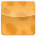 SeeingSpot