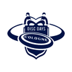 Disc Days Cologne APK