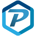 Pin Modal