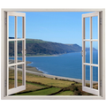 Chronus - Real Window Icon