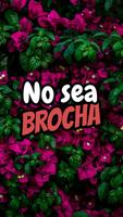 Frases de Costa Rica para Esta ảnh chụp màn hình 1