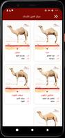 مركز العين للأبحاث تصوير الشاشة 1