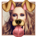 amusant face - photo collage APK