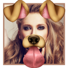 Fun Face - Photo Collage icon
