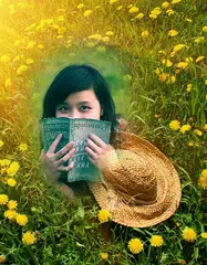 Nature Photo Frames XAPK download