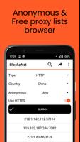 BlockaNet poster