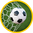 Penalty World Championship '14 APK