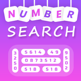 Number Search Puzzle icône