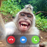 Funny Monkey Prank Video Call ícone