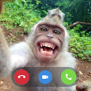 APK Funny Monkey Prank Video Call