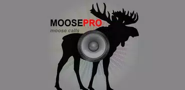 Moose Calls for Hunting Moose
