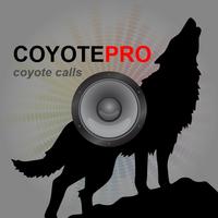 REAL Coyote Hunting Calls স্ক্রিনশট 2