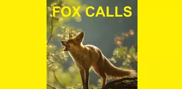 Predator Calls for Fox Hunting