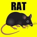 APK Rat Sounds Rat Sound Effects