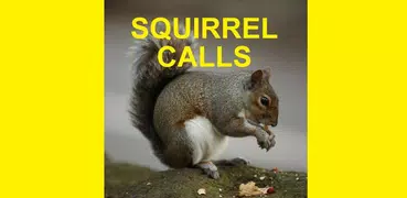 Squirrel Hunting Calls