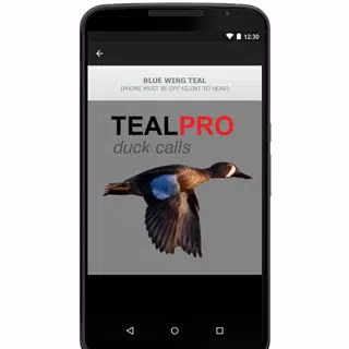 Duck Calls for Teal APK for Android Download