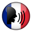 French Vocabulary icon