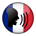Vocabulário francês ícone