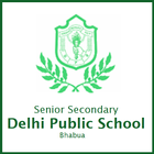 Senior Secondary Delhi Public  icône