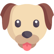 Happy Dog
