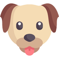 Happy Dog