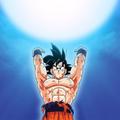 Goku Flash