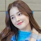 Icona Momoland Stickers WAStickers