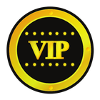 HoKar VIP 图标