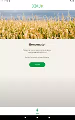 Dedalo App APK download