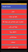 Dilchasp Hakayat-e-Sheikh Saad screenshot 3