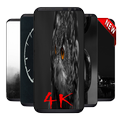 black wallpapers 4k