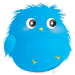 Furry Birds