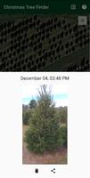 Christmas Tree Finder syot layar 1