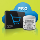 Cloud storage pro | Know more about these icône