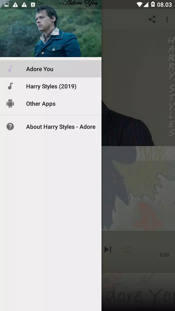 Download do APK de Harry Styles ~ Adore You ~ para Android