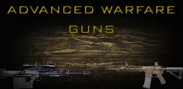 Advanced Warfare Guns