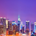 New City Times