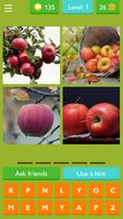 GUESS THE FRUITS NAME GAME Affiche
