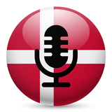 Denmark Radio icon
