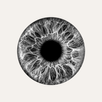 ID Reader APK