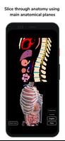 Deepscope Radiological Anatomy ảnh chụp màn hình 1