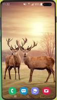 2 Schermata Deer Wallpaper HD