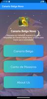 Canto De Canario Belga Novo Poster